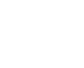 servicio transporte especial